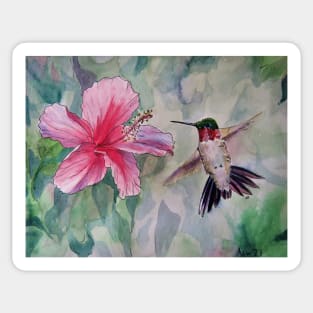 Pen and Ink Ruby Throated Hummingbird and Hibiscus Sticker